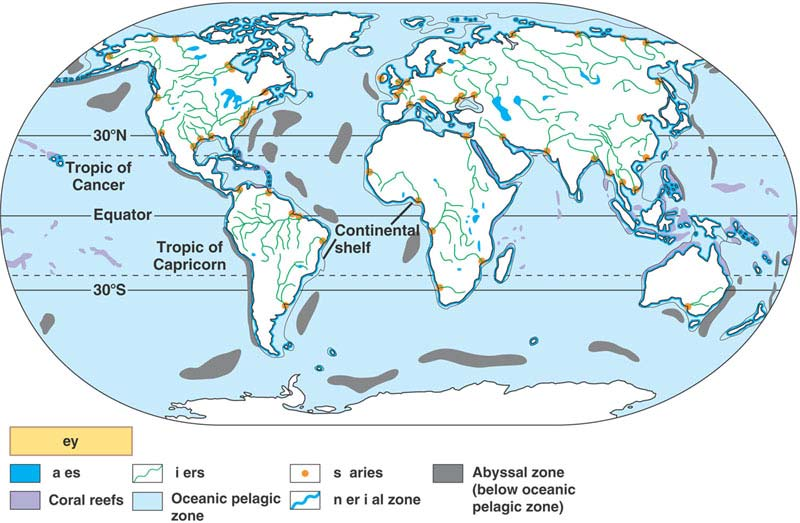 The Major Aquatic Biomes 3 As you can see, the aquatic regions on our planet are roughly divided into several major biomes, including freshwater lakes, rivers, estuaries, intertidal zones, coral