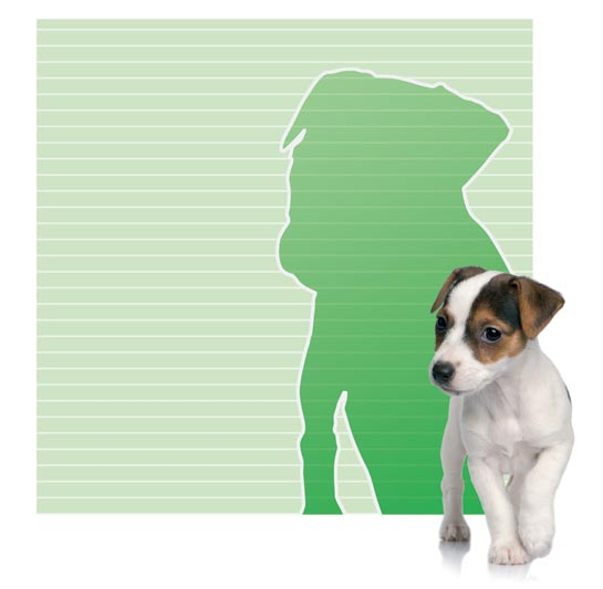 Growth curves for puppies Puppies are growing rapidly and need specially designed foods that contain the right amount of specific nutrients to ensure they grow and develop