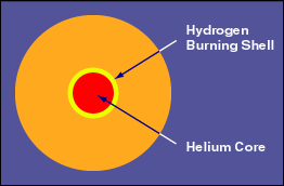 The final years of a 1 solar mass star 2. The core becomes so filled with helium that fusion stops in the core.