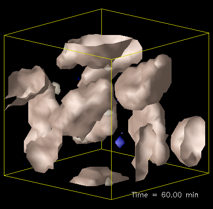 25 μm C 3 S Hydration Simulation Real-shape