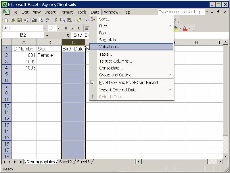 Validation for the date variable Birth Date To validate the data for a field or column, we first click on the column