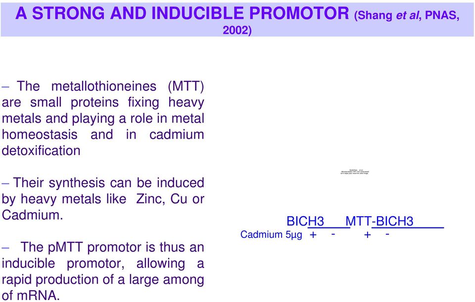 The pmtt promotor is thus an inducible promotor, allowing a rapid production of a large among of mrna.