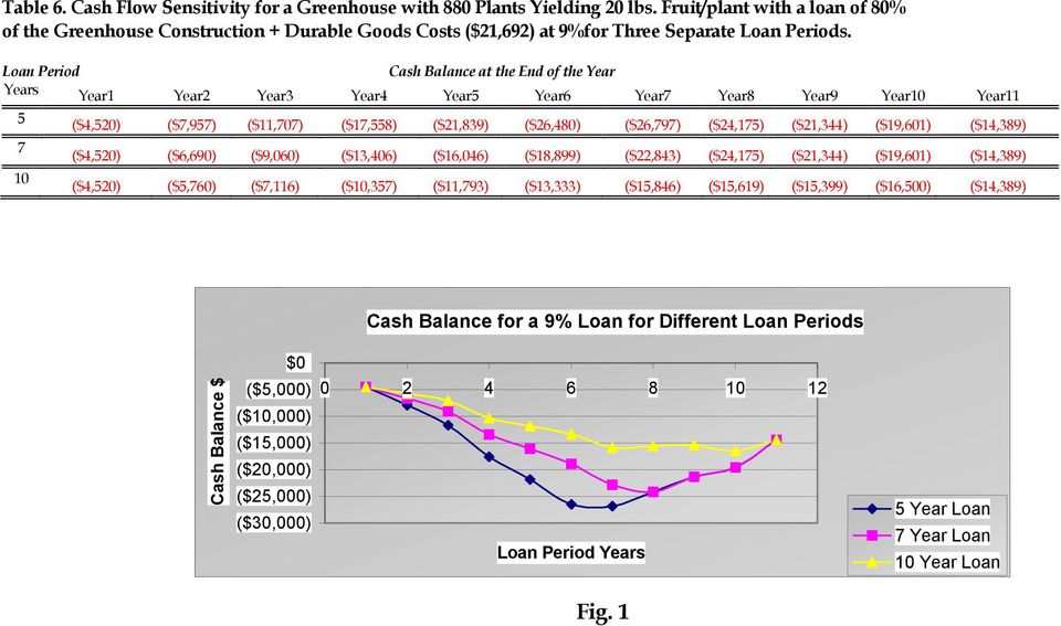 Loan Period Cash Balance at the End of the Year Years Year1 Year2 Year3 Year4 Year5 Year6 Year7 Year8 Year9 Year10 Year11 5 7 10 ($4,520) ($7,957) ($11,707) ($17,558) ($21,839) ($26,480) ($26,797)