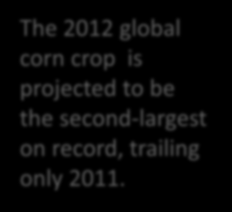 The Corn Market is Global 2011/12 2012/13 Change % Change Million Metric Tons % U.S. 313.9 273.8-40.1-12.8% China 192.8 200.0 7.2 3.7% Brazil 70.0 70.0 0.0 0.0% EU-27 64.6 61.5-3.1-4.8% FSU-12 33.