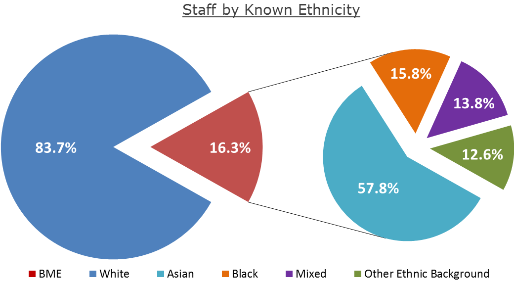3.3 Ethnicity (Staff) Figure 7: All Staff by Ethnicity 12.8% Black African, 57.0% 30.2% 57.0% Black Caribbean, 30.2% Other Black, 12.8% 56.5% 21.5% 10.0% 11.9% Mixed - White and Asian, 21.