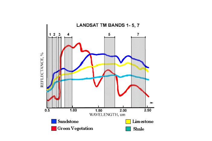 Landsat TM bands in the electromagnetic spectrum 7 Bands