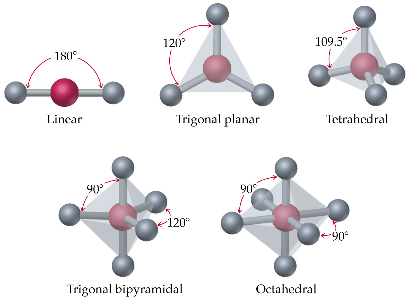 Structures / VSEPR Molecular Models
