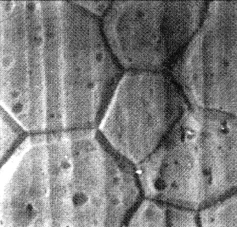 10 µm 10 µm Matt surface appearance