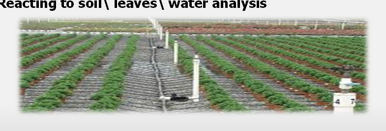 Fertigation by irrigation- fertigation plan Analyzes of the water type : acidic, hard