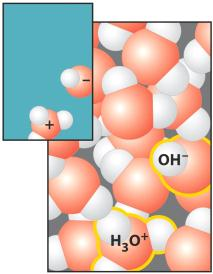 Auto-ionization of Water Kw= [H3O+][OH-] = 1X10-14 Pure water always has some hydronium and hydroxide present.