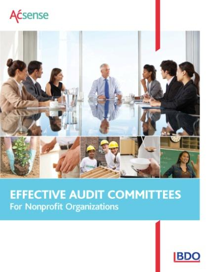 GOVERNANCE: AUDIT PROCEDURES Audit Committee Requirement Meet two to three times with the auditors Review scope of audit Report