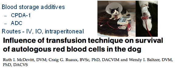 to findings from dogs, transfusion of autologous feline RBCs using a syringe + aggregate filter method does not significantly impact shorten long-term survival of the transfused cells.