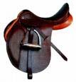 All Purpose saddles can be used for a variety of events within the Hunt Seat discipline, from eventing to trail riding.