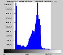 pepper noise (c) after noise removal (d) histogram shows the effect of applying a 3 3 mean filter The image figure(c) shows the effect of smoothing the noisy image with a 3 3 mean filter.