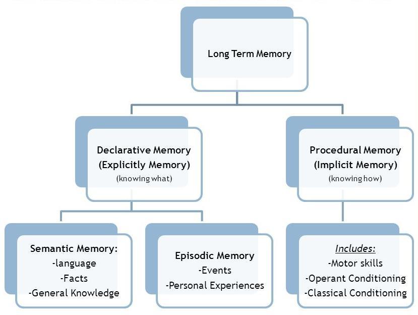 Types of Long-term Memory Evidence suggests that there are two distinct types of long-term memory: declarative and nondeclarative (procedural).