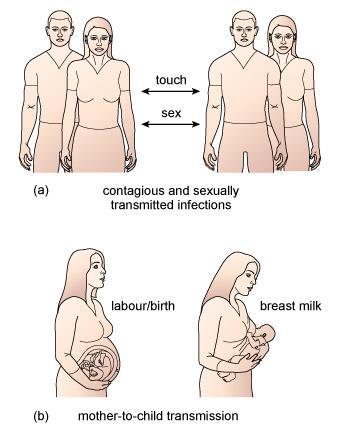118 Figure 3: Direct person-to-person transmission of infection. (a) Contagion and sexual transmission. (b) Mother-to-child transmission.