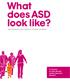 What does ASD look like? New Zealand Autism Spectrum Disorder Guideline