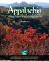 Examining Changes to the Appalachian Region Since 1965 FEBRUARY 2015