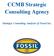 CCMB Strategic Consulting Agency. Strategic Consulting Analysis of Fossil Inc.
