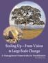Scaling Up From Vision to Large Scale Change