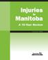 Injuries. Manitoba. A 10-Year Review. January 2004