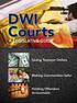 How To Support A Dwi Court