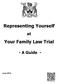 Representing Yourself. Your Family Law Trial