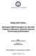 TESIS DOCTORAL. Evaluation Methodologies for Security Testing of Biometric Systems beyond Technological Evaluation