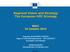 Regional Vision and Strategy The European HPC Strategy