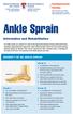 Ankle Sprain. Information and Rehabilitation. Grade II. Grade I. Grade III