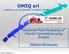 OMIQ srl. Advanced Post-Processing of Flow3D Calculations using Ensight. Federico Monterosso. Ingegneria di componenti e sistemi industriali