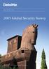 2005 Global Security Survey