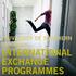 university of southern denmark international exchange programmes
