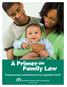 A Primer on Family Law