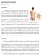 Biomechanical Basis of Lumbar Pain. Prepared by S. Pollak. Introduction: