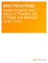 BEST PRACTICES Implementation and Setup of Practice CS in Small and Mediumsized