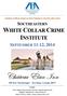 Château Élan Inn SOUTHEASTERN WHITE COLLAR CRIME INSTITUTE SEPTEMBER 11-12, 2014 AMERICAN BAR ASSOCIATION CRIMINAL JUSTICE SECTION