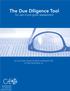 The Due Diligence Tool