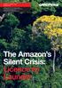 The Amazon s Silent Crisis: Licence to Launder