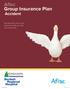 Aflac Group Insurance Plan