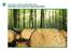 J&O GLOBAL FORESTRY INVESTMENT FUND SUSTAINABLE AND DIVERSIFIED TIMBER INVESTMENTS