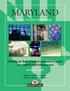 MARYLAND. Cyber Security White Paper. Defining the Role of State Government to Secure Maryland s Cyber Infrastructure.