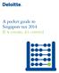 A pocket guide to Singapore tax 2014 If it counts, it s covered