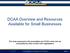 DCAA Overview and Resources Available for Small Businesses