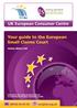 The intention of this guide is to provide information on how to make your claim through the European Small Claims Procedure.