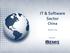 IT & Software Sector China