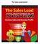 The Sales Lead System