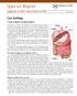 Special Report. Gut feelings. Supplement to MAYO CLINIC HEALTH LETTER JUNE 2012. A look at digestive health problems