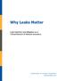 Why Leaks Matter. Leak Detection and Mitigation as a Critical Element of Network Assurance. A publication of Lumeta Corporation www.lumeta.