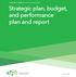 CONSUMER FINANCIAL PROTECTION BUREAU. Strategic plan, budget, and performance plan and report